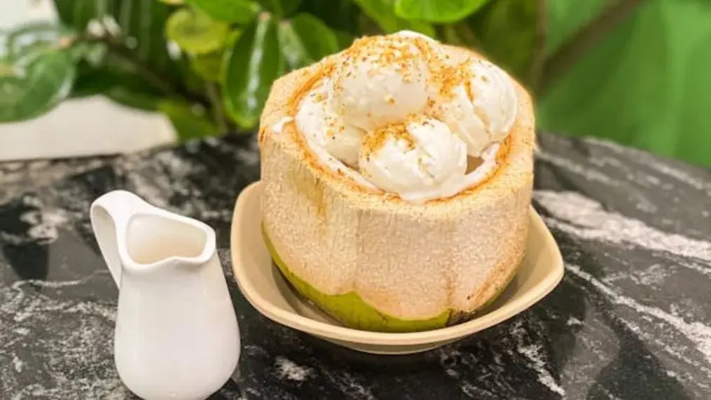 Coconut Ice Cream