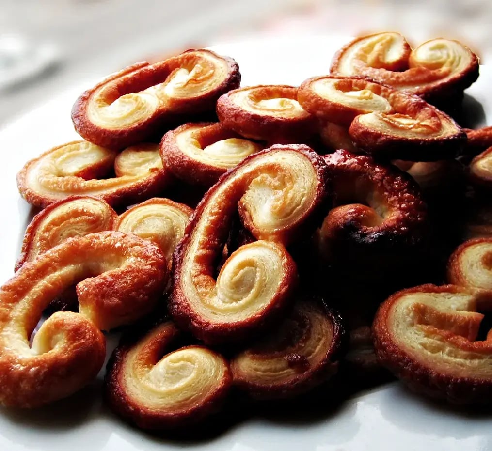 palmiers-2