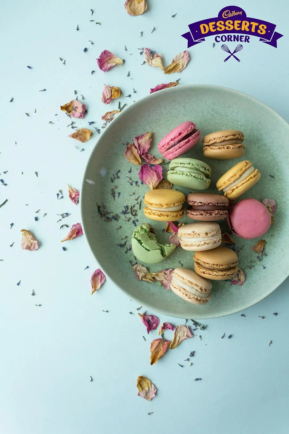 macarons-updated-2