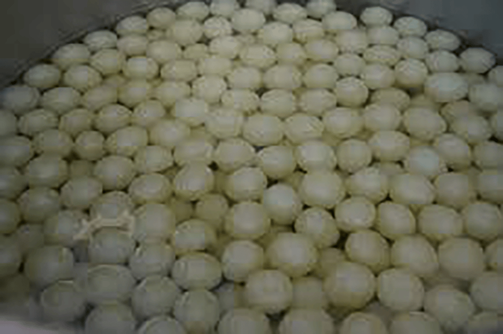 rasgulla