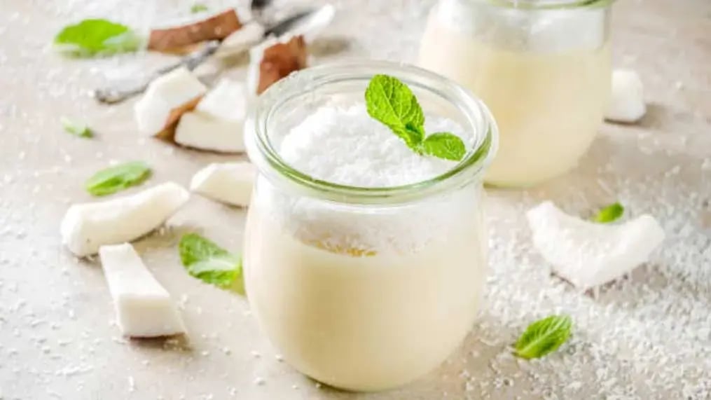 Easy Coconut Milk Pudding Recipe For Dessert - Conclusion