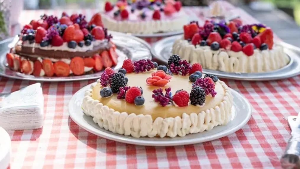 Easy Summer Berry Cake Recipe for Hot Days - Conclusion