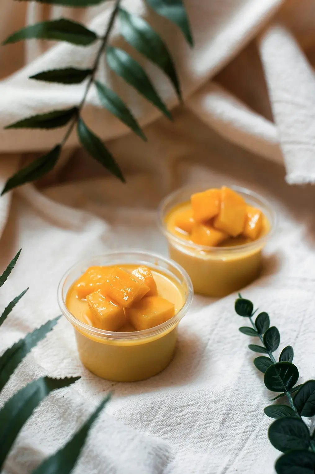 mango-jelly-pudding