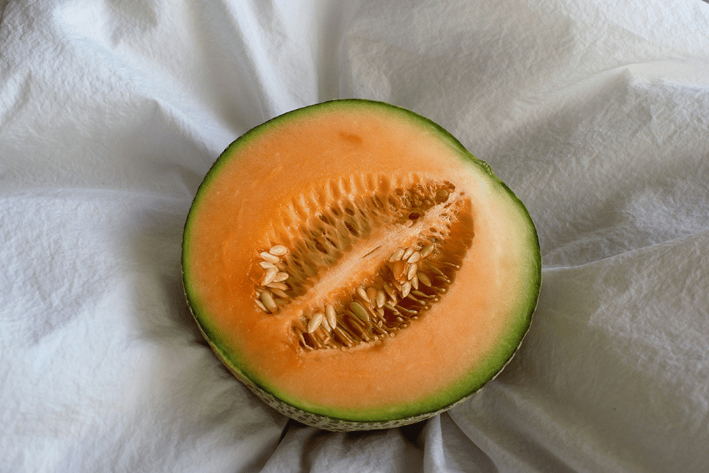 cantaloupe-2