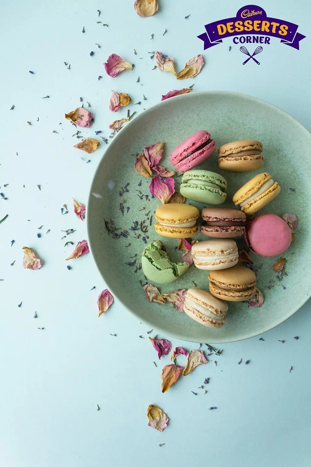 macarons-updated