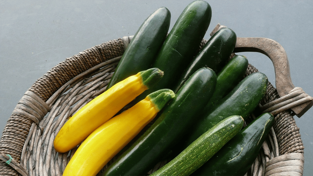 fresh-zucchini