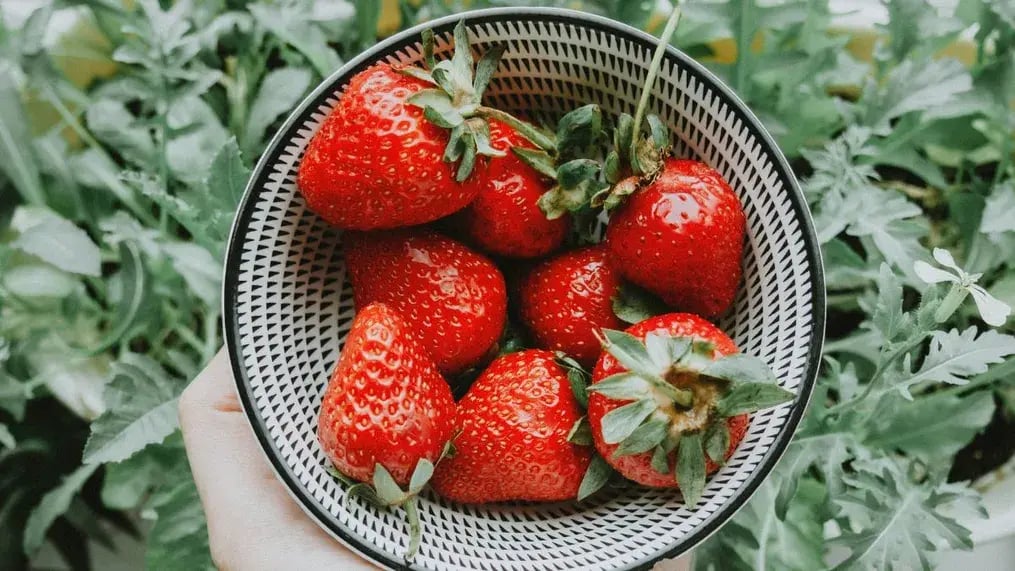 strawberry-fresh