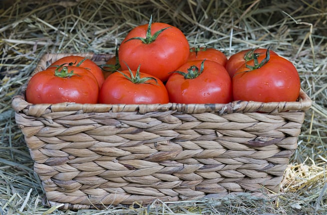 Tomatoes in Desserts: Easy Sweet Dish Recipes From Scratch