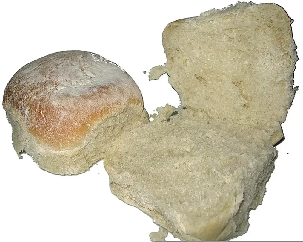 blaa-1