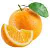 Citrus 