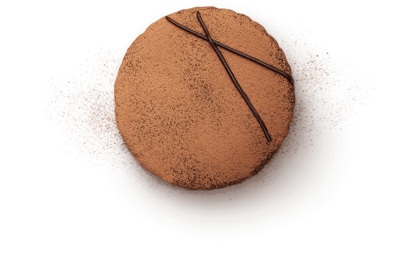 Chocolate  Sponge Cake Recipe