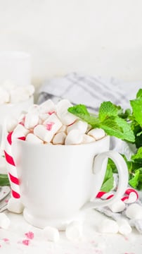 Taste of Tradition: A Guide to Homemade Peppermint Hot Chocolate