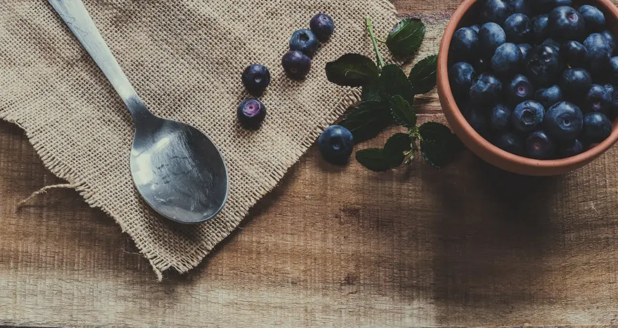 Kid-Friendly Blueberry Treats That Are Sure to Delight