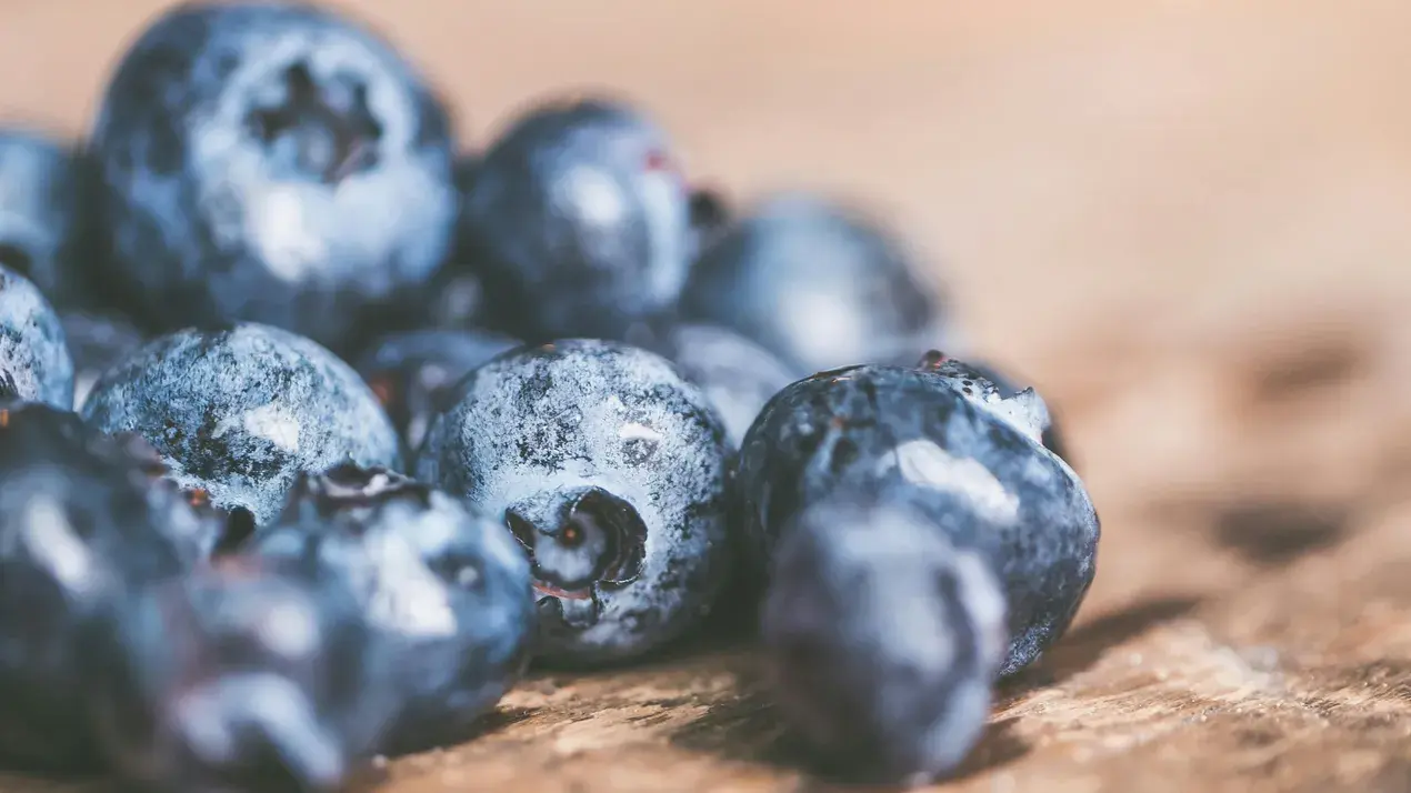 This sweet and delicious blueberry cake is perfect for any celebration